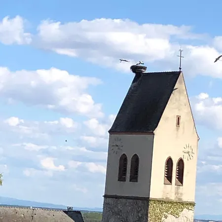 Au Nid De Cigognes * Mittelwihr