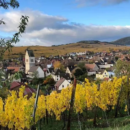 Au Nid De Cigognes *